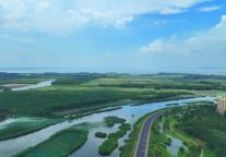 八月东平湖：潋滟为序，清风入怀