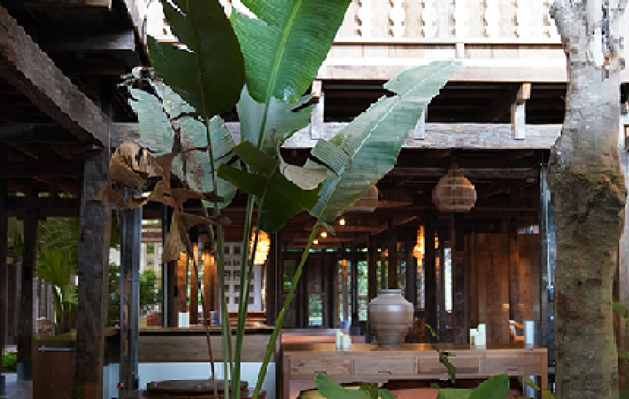 西双版纳｜推开世界的门，在花筑奢找到童年的绿