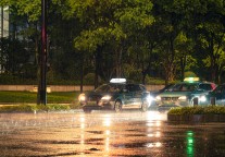 今年已注册超1.3万家文旅相关企业