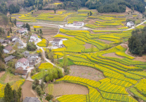 汉台区文旅局与熙汉传媒签约，开启新合作