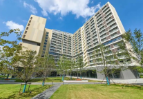 引凤长栖 | 上海青浦规模最大的市级人才公寓是如何打造的