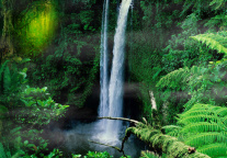 首批5个国家公园全部完成确权登记