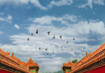 故宫博物院7月29日闭馆一天 已预约门票将自动退款