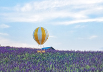 云南出台若干措施 支持低空经济健康发展