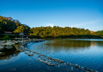 暑期云南文旅市场热度高涨，接待游客达1.98亿人次