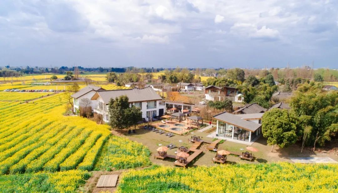 春日顶流！安仁南岸美村「油画级」赏花攻略_3_别后 l_来自小红书网页版.jpg