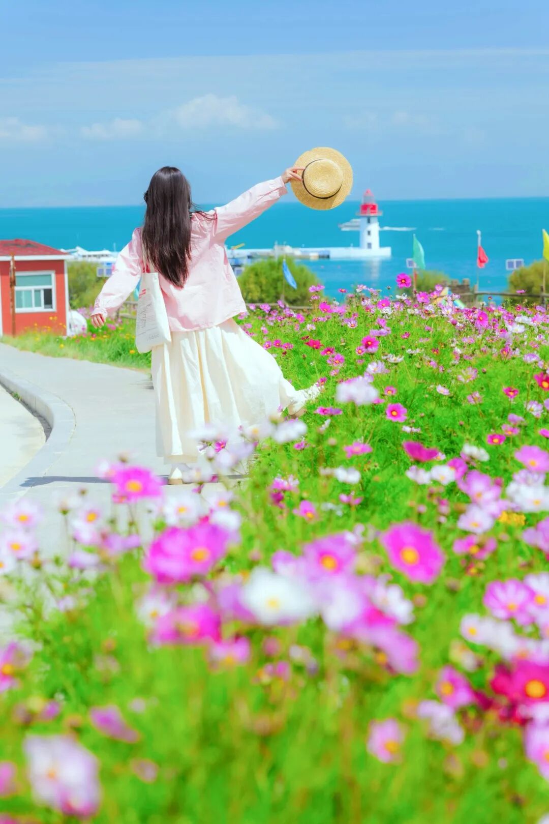 爆了！青海湖景区 9 月私藏美景曝光，格桑花海美到窒息，错过等一年！