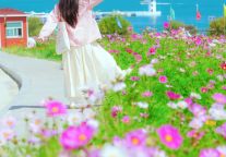 爆了！青海湖景区 9 月私藏美景曝光，格桑花海美到窒息，错过等一年！