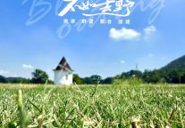 错峰撒野指南｜龟峰景区「不如去野」露营草坪，承包整片山野的快乐