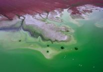 住格雅，游建湖：在城央品质空间，邂逅九龙口的芦苇与朦胧塔的月