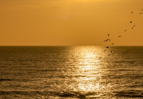 广东肇庆冠马大酒店项目开工，总投资1亿元