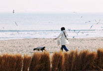 浙江：开展宠物友好型旅游试点着力培育消费新热点