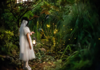 爽爽贵阳I贵阳旅发集团2025避暑季成绩斐然：游客量激增，品牌影响力跃升