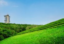 新启春城芯，畅览北国风情与便捷——格林豪泰酒店（长春市吉林大路地铁站店）