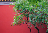 北京发布暴雨红色预警 全市所有景区关闭