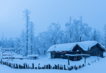 “虚构IP”，如何酿成文旅好酒？