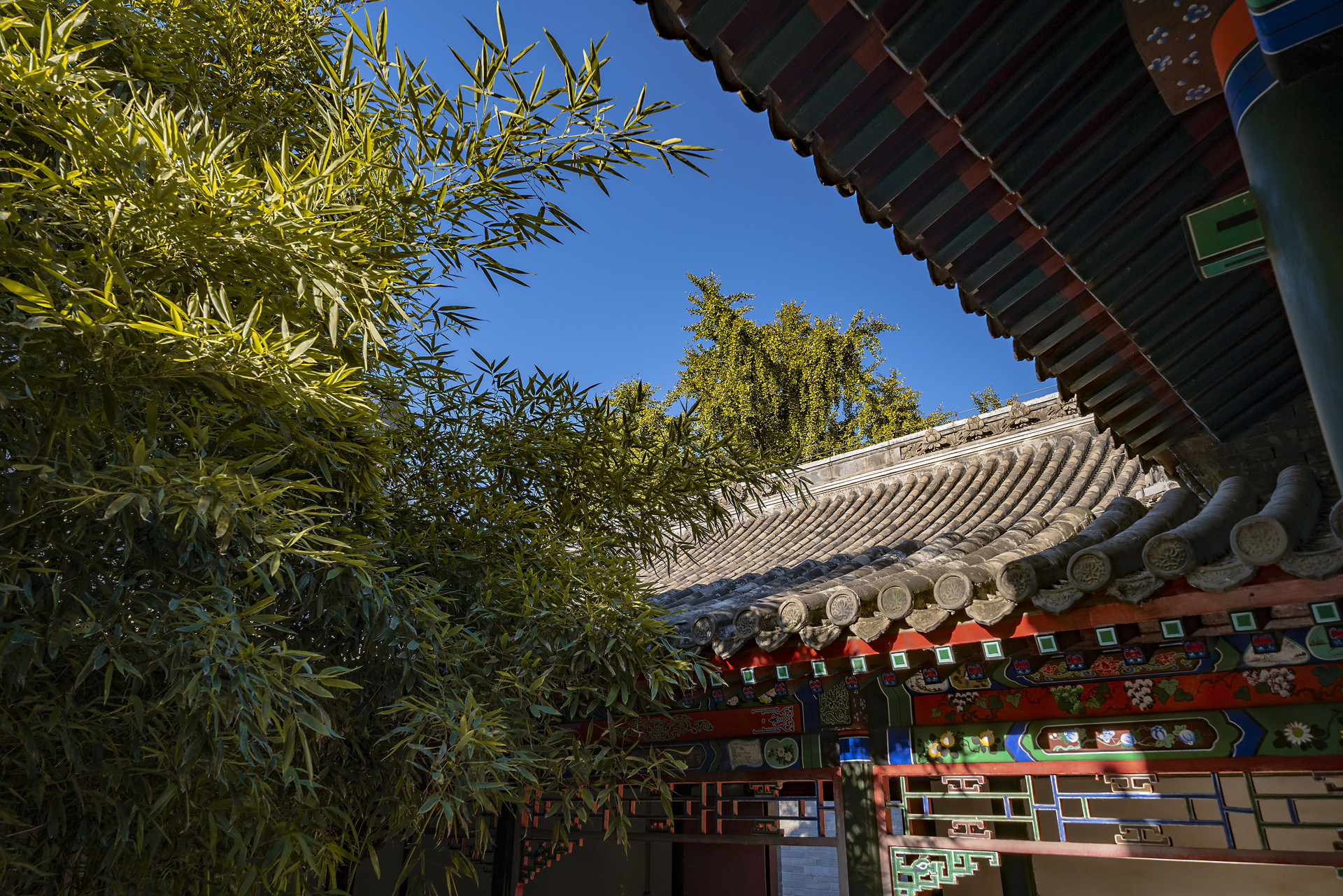 摄图网_501054092_秋天的北京胡同(企业商用).jpg