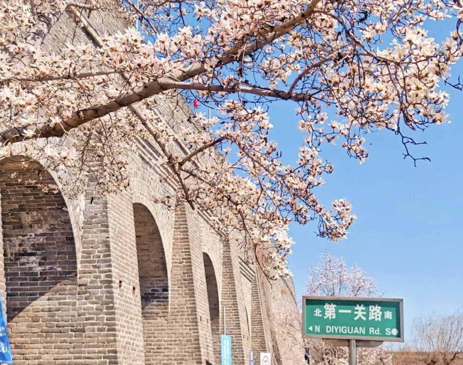 五一遇春假！加长版小长假快来打卡山海关这座宝藏小城
