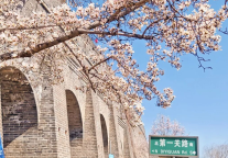 五一遇春假！加长版小长假快来打卡山海关这座宝藏小城