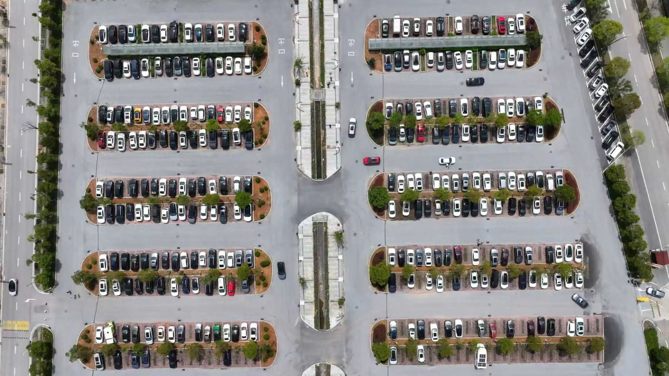 踏青何必远行？来龟峰，解锁清明假期的N种“有福”玩法！