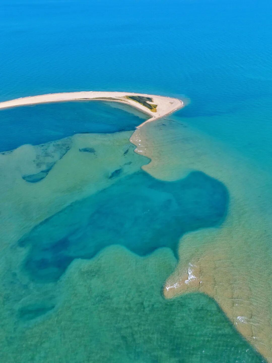 2025-09-30 122714.jpg