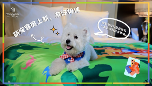 2026年3月新闻稿-宠爱随行，温暖相伴｜兰州富力万达文华酒店宠物友好客房全新上线530.png