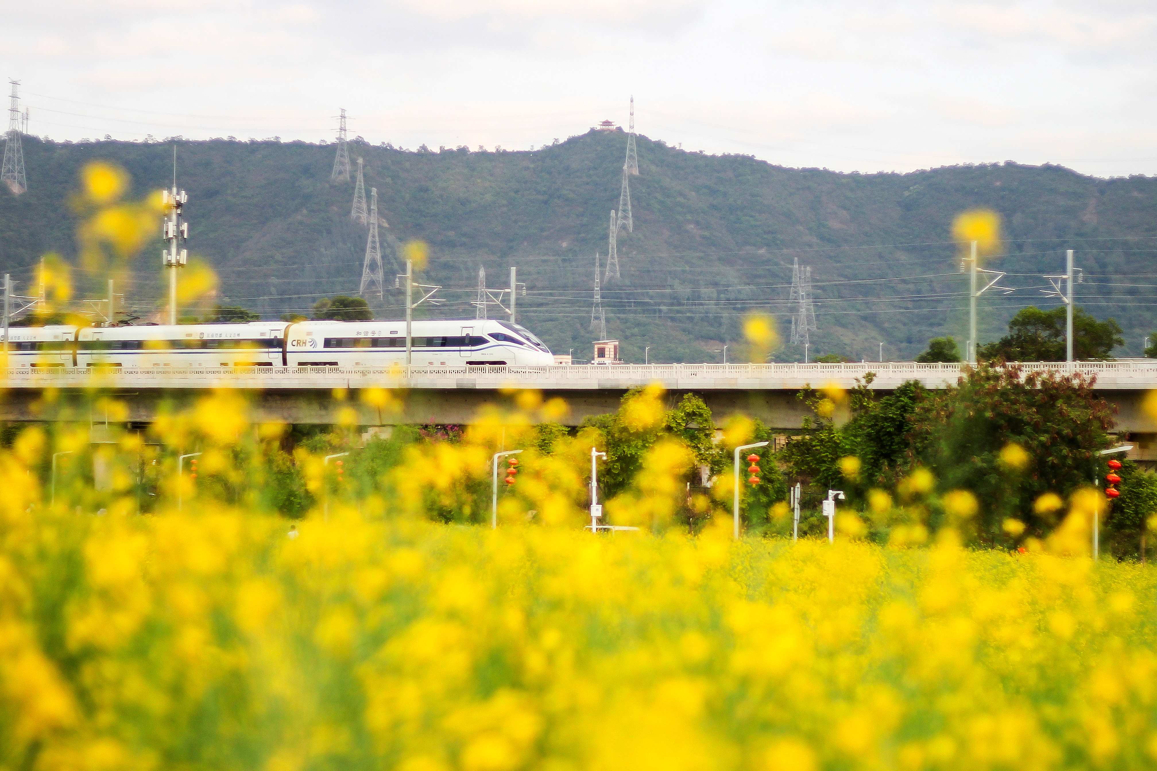 铁路清明假期运输启动，5天预计9050万人次出行