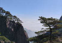 安徽黄山建国饭店开业