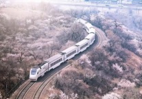 东方证券：五一出行热度高，出行链业绩可期