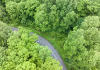 第五届长白山森氧跑圆满落幕：五年之约，在22℃的林海间共赴一场“夏日自在局”