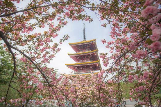 9-1 会员日 繁花285.png