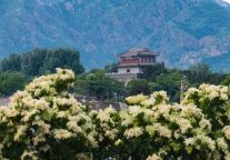 服务再升级 || 免费旅游专线带您畅玩山海关景区