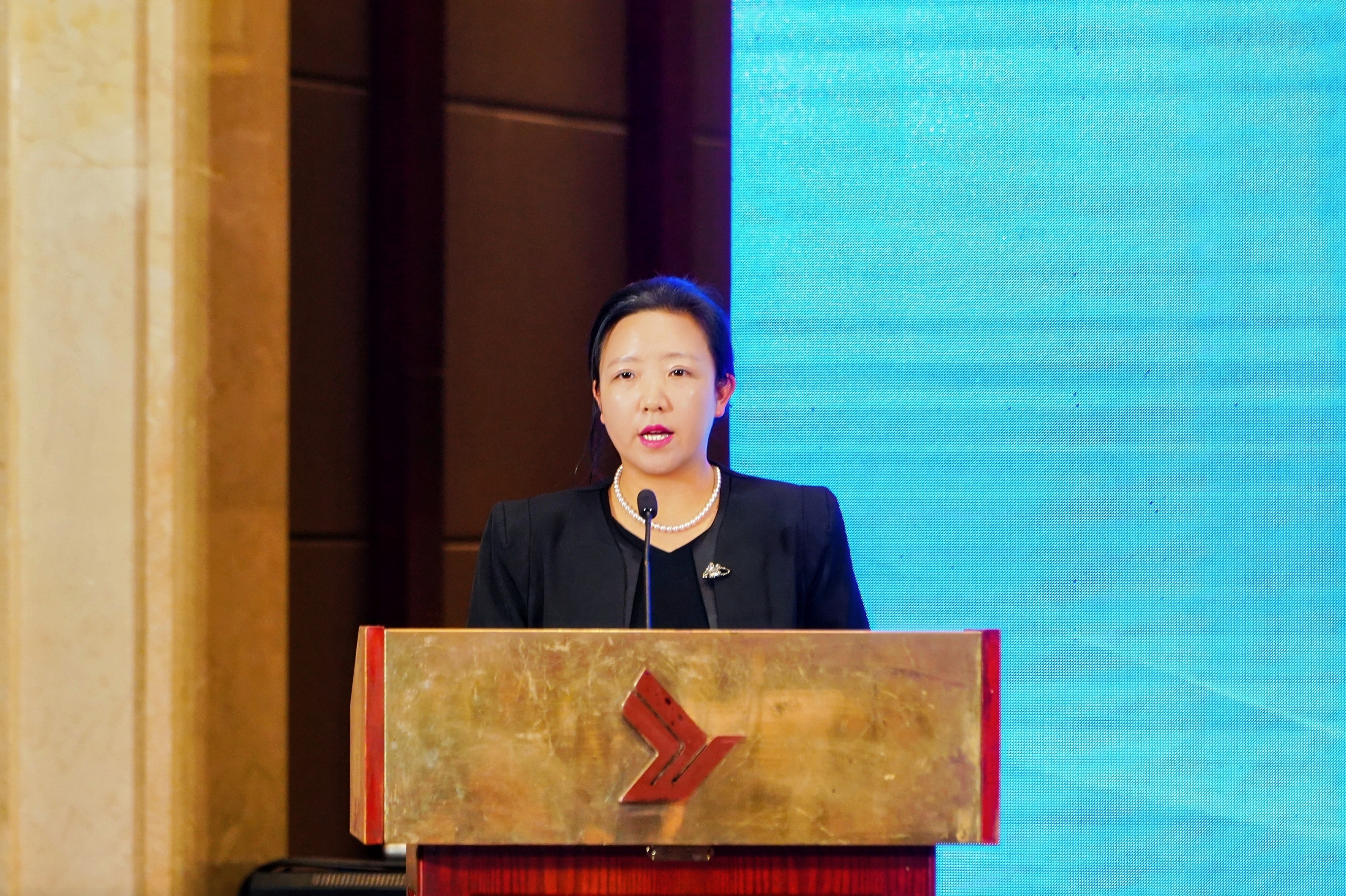 成都旅游住宿业协会秘书长冯佳：立足成渝文旅势能，激活住宿行业提质新动能