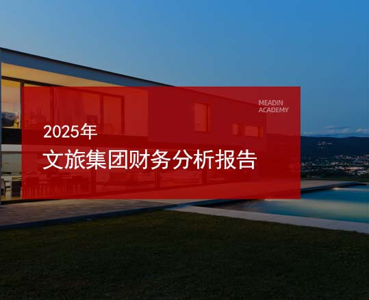 2025年文旅集团财务分析报告