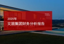 2025年文旅集团财务分析报告