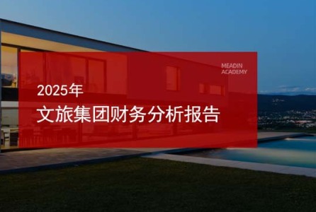 2025年文旅集团财务分析报告