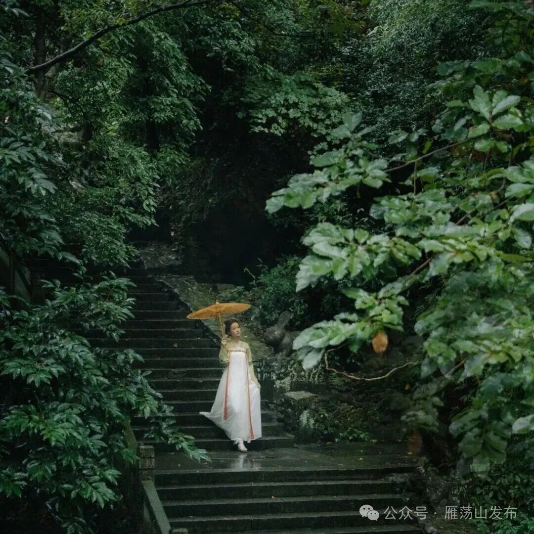 @上海、宁德、杭州、台州人，温州邀您“免费游”！