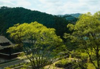  栖居苗寨・静享悠然｜贵州西江苗寨豪利维拉薇墅酒店7月璀璨启幕