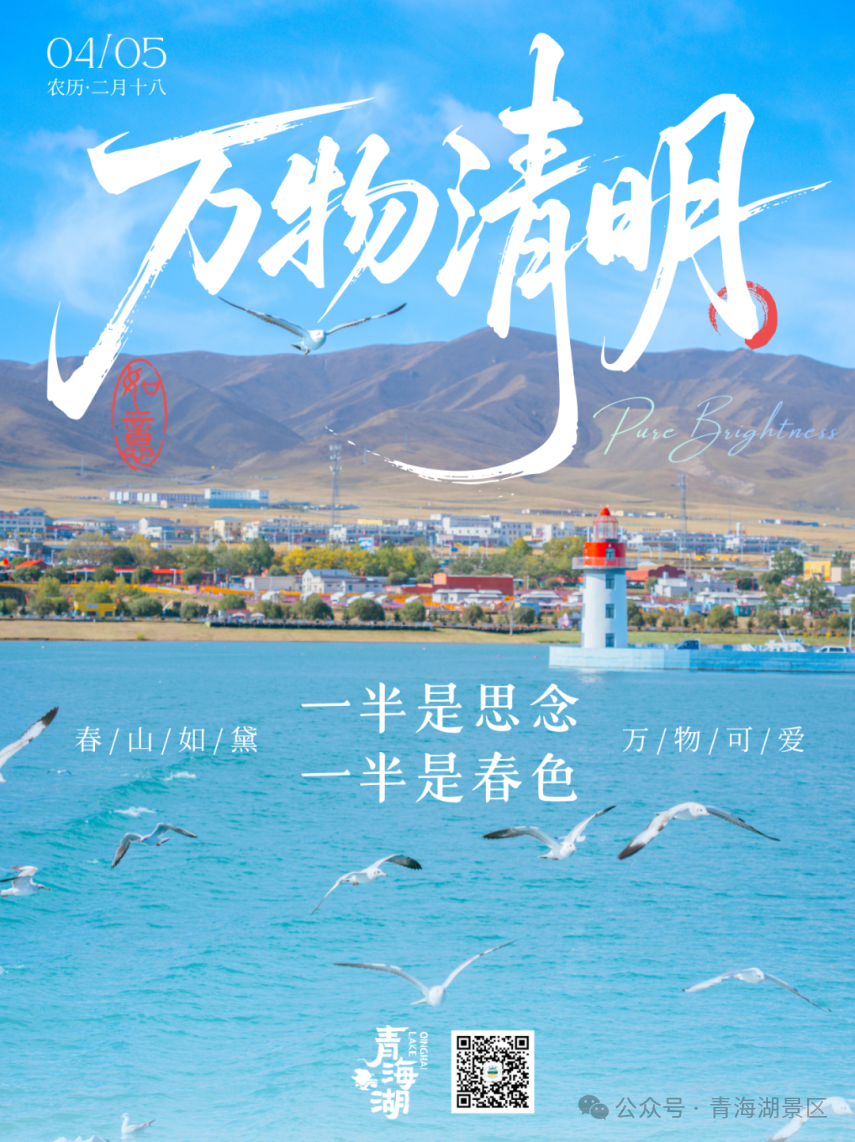 跟着《生命树》解锁青海湖｜二郎剑×仙女湾观鸟全攻略，赴一场高原飞羽之约