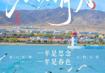 跟着《生命树》解锁青海湖｜二郎剑×仙女湾观鸟全攻略，赴一场高原飞羽之约