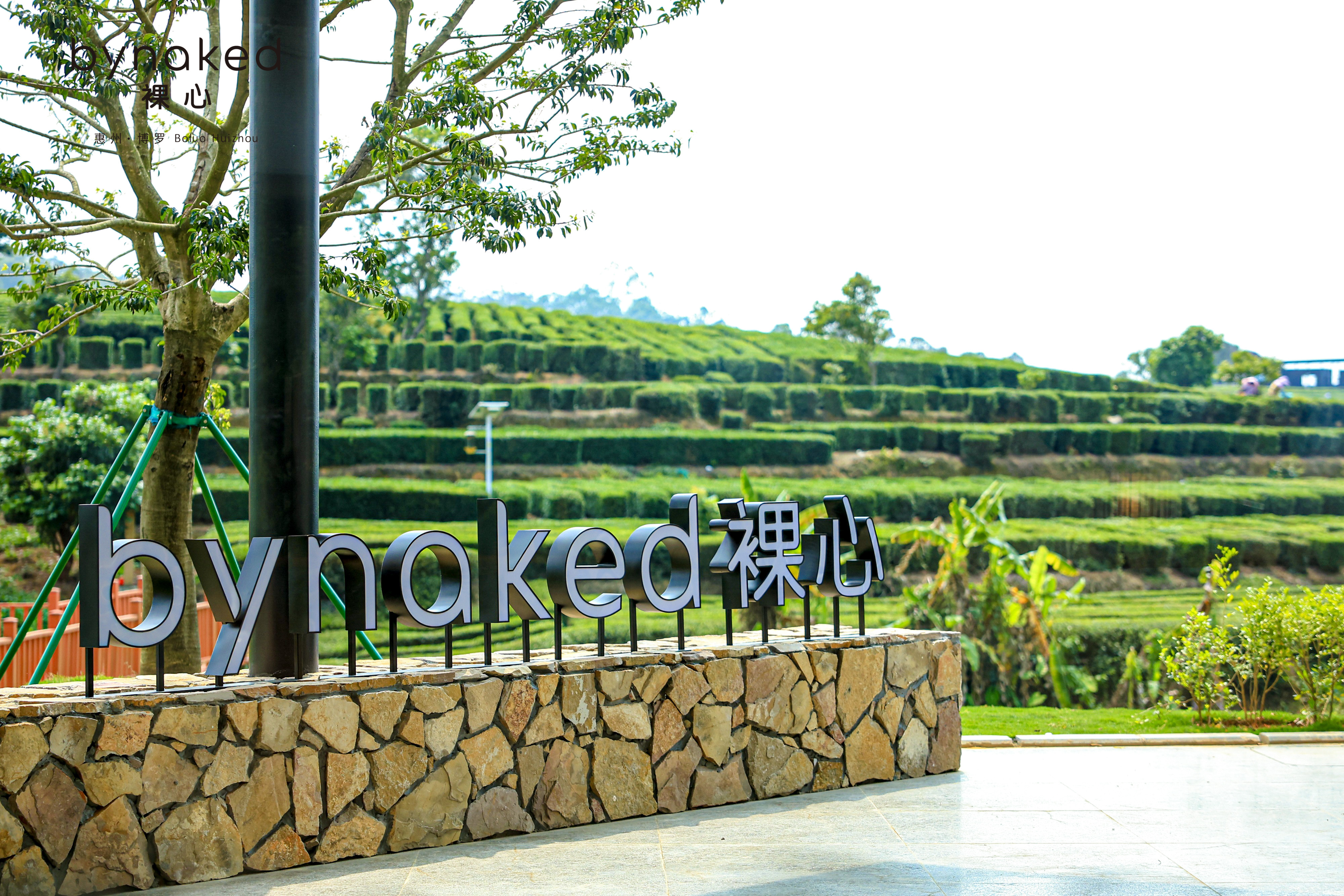 “bynaked裸心”新品首发：在博罗柏塘万亩茶园看见县域文旅的另一种可能