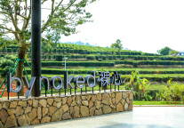 “bynaked裸心”新品首发：在博罗柏塘万亩茶园看见县域文旅的另一种可能