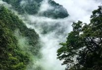 误入江南仙境！雨季的明月山景区直接封神！