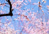 总投资40亿元，云南昭通将打造滇东北首个5A级景区