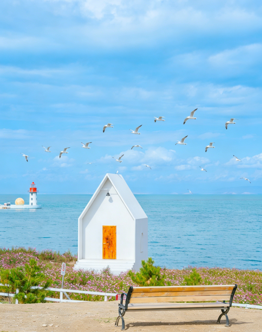 一号观景台观鸟 ai.png