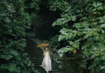 我把雁荡山带回家