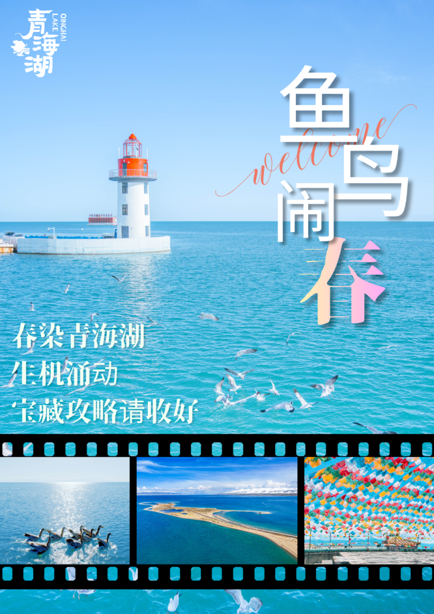 海报.png