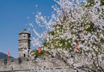 温馨提醒：台州府城室外常态化演艺活动停演升级中