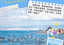 五一带娃去哪玩儿？青海湖二郎剑上演“鱼鸟总动员”！附保姆级攻略，让你带娃不累、出片不愁！