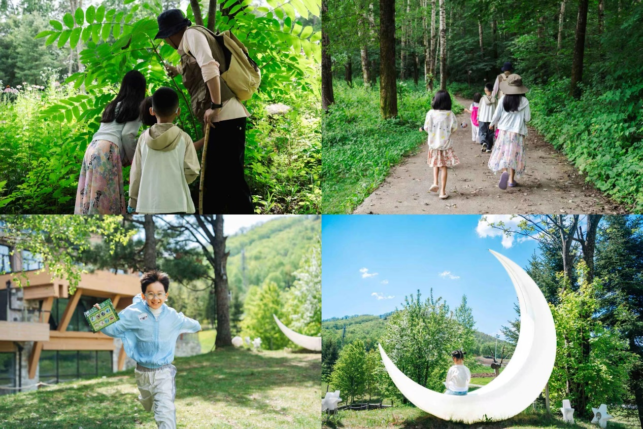 图片 3.png